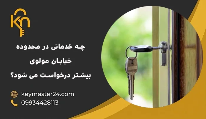 چه خدماتی در محدوده خیابان مولوی بیشتر درخواست می شود؟